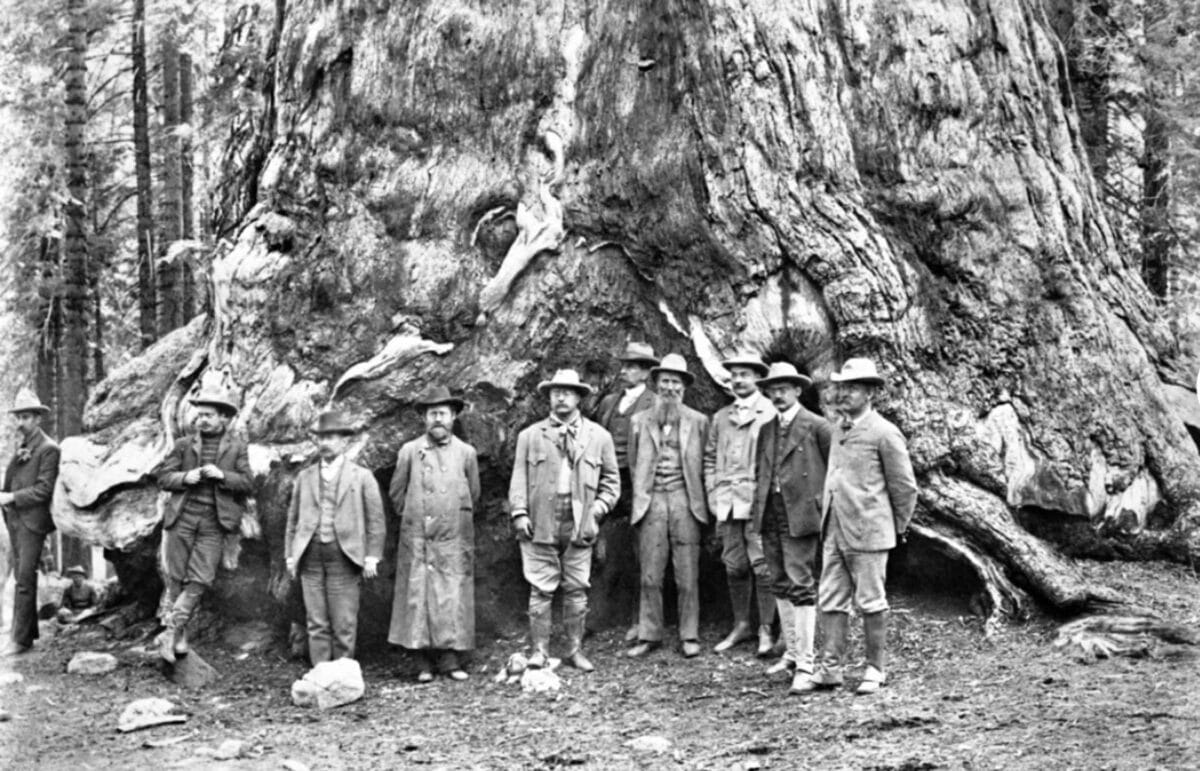 Alameda Post - a black and white photo of a group of ten men standing at the base of a very large tree
