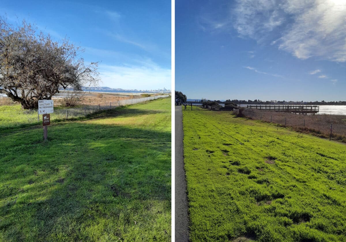 Alameda Post - the walking trail, grass, and water along Shore Line Drive