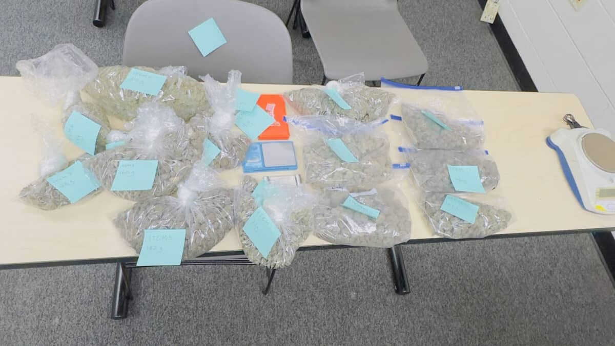 Alameda Post - A table with bags of weed on it.