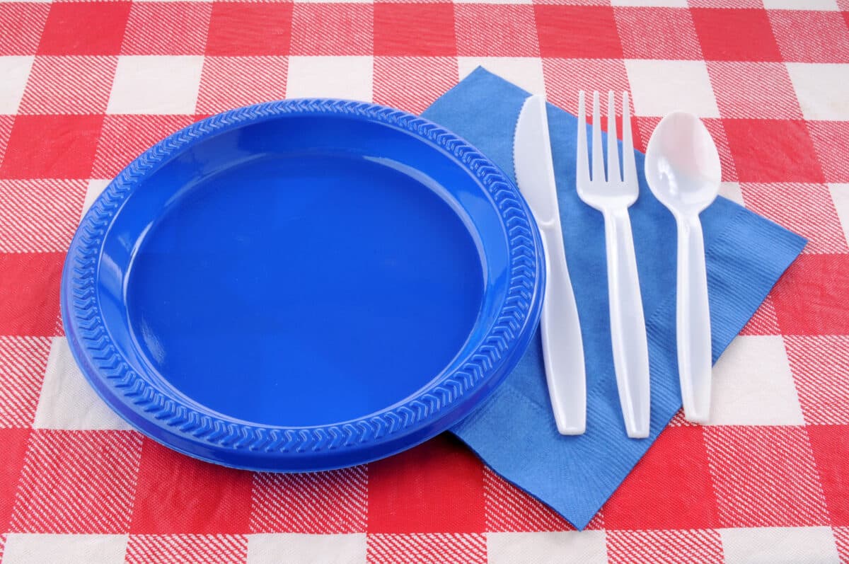 Alameda Post - A blue plastic plate on a red and white checkered tablecloth.