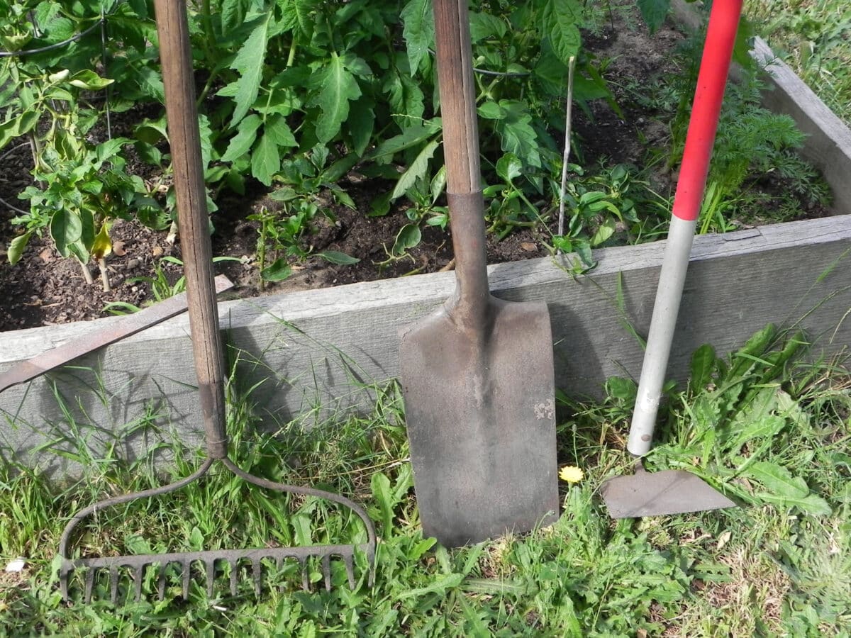 Alameda Post - a photo of gardening tools. A shovel, a hoe, and a rake.