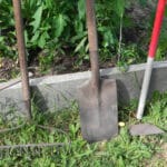 Alameda Post - a photo of gardening tools. A shovel, a hoe, and a rake.