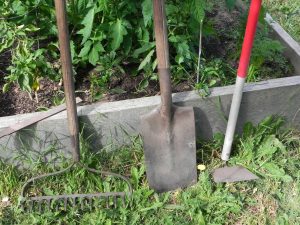 Alameda Post - a photo of gardening tools. A shovel, a hoe, and a rake.