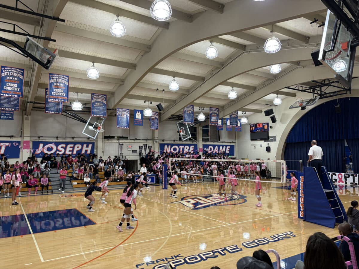 Alameda Post - The volleyball match between the St. Joseph Pilots and the Encinal Jets in the Queens of the Island tournament. 