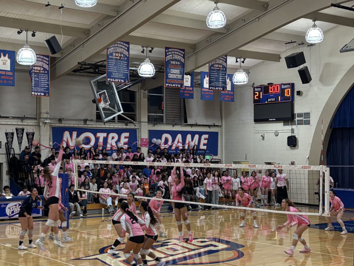 Alameda Post - The volleyball match between the St. Joseph Pilots and the Encinal Jets.