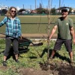 Alameda Post - two Rotary Club members stand next to a newly planted tree