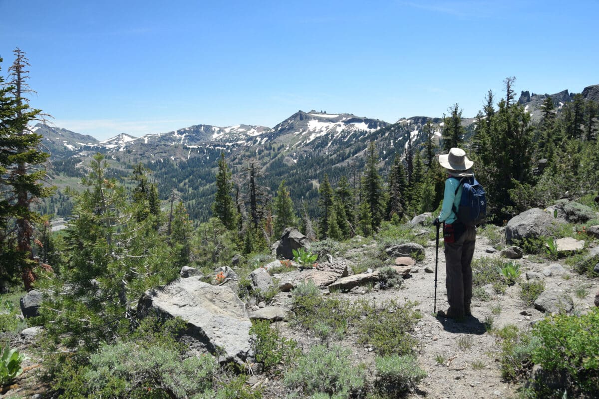 Alameda Post - a woman looks out over a scenic mountain view