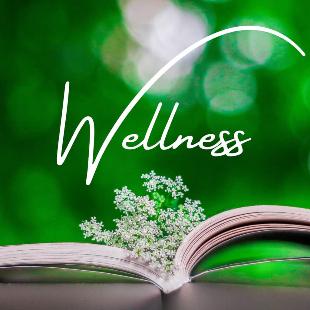 Alameda Post - an image of a book with baby's breath and the word "wellness" above it. May is mental health Awareness Month. Read on for resources. 