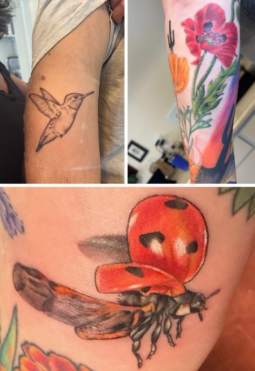 Alameda Post - Tattoos of a flower, ladybug, and hummingbird. 