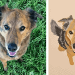 Alameda Post - a side by side of a pet picture and corresponding pet portrait.